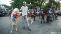 Abdul Rahman (25) berfoto di depan kuda miliknya di Mutiara Gading Timur, Bekasi, Senin (25/3/2024). Adul sapaan akrabnya sudah memulai usaha rekreasi kuda sejak tahun 2012 sementara rekreasi kuda di lokasi ini telah ada sejak tahun 2007.