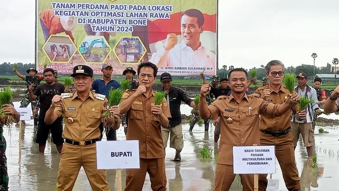 Pj Bupati Bone Andi Islamuddin bersama Kadis TPHP Andi Asman Sulaiman melakukan tanam perdana di lahan rawa.