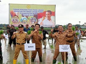 Pemkab Bone Optimalisasi 5.000 Hektare Lahan Rawa Jadi Sawah Produktif