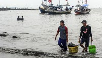 Sejumlah nelayan mengangkut ikan hasil tangkapan ke pelelangan ikan di Teluk Labuan, Pandeglang, Banten, Minggu (24/3/2024).