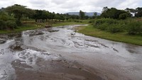 Membangun bendungan pasir di sungai-sungai ini, dimana masyarakat dapat mengambil pasir untuk mengambil air atau menggunakan pompa tangan, membantu meminimalkan kehilangan air melalui penguapan dan mengisi ulang air tanah. Hal ini semakin penting karena perubahan iklim yang disebabkan oleh manusia menyebabkan musim kemarau berkepanjangan, kata para ilmuwan, dan solusi bendungan pasir yang sederhana telah mendapatkan perhatian di wilayah kering di Kenya dan beberapa wilayah lain di Afrika yang mencari sumber air yang dapat diandalkan.