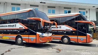 PO Rosalia Indah Pecat Sopir Bus Ugal-ugalan, Klaim Evaluasi Total