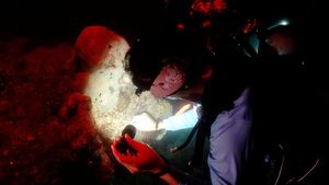 Berjibaku Menyelamatkan Terumbu Karang yang Sekarat di Thailand