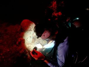 Berjibaku Menyelamatkan Terumbu Karang yang Sekarat di Thailand