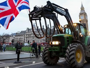 Dunia Hari Ini: Petani Inggris Berdemo dengan Konvoi Traktor ke Pusat London