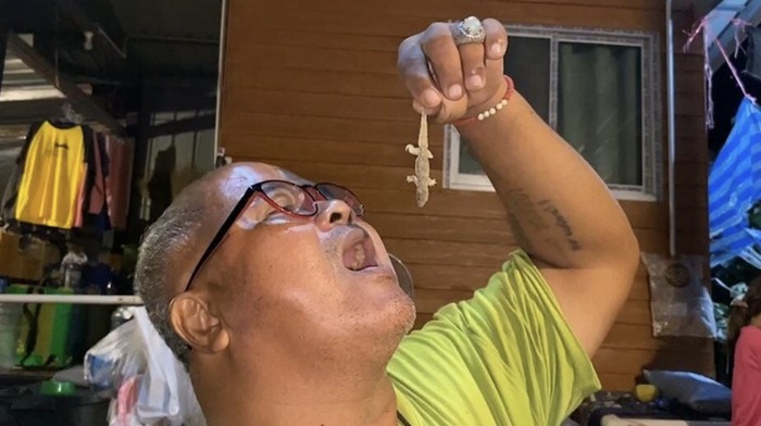 Gokil! Pria Ini Nekat Makan Cicak Hidup untuk Obat Kuat