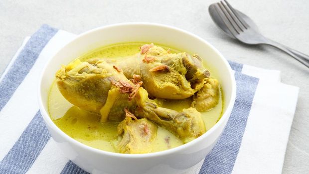 ilustrasi opor ayam