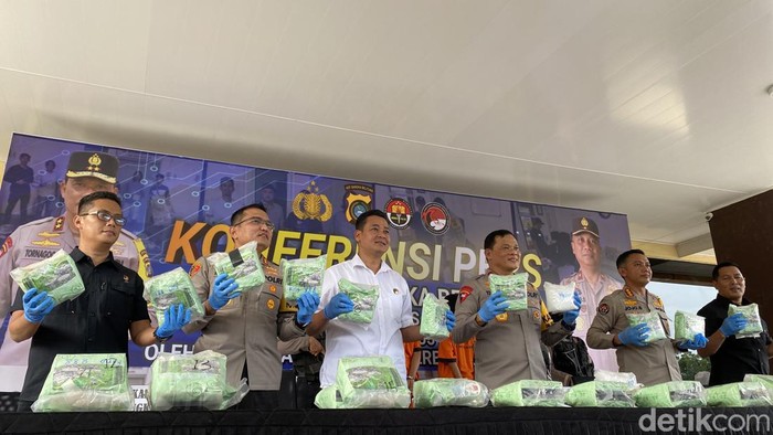 Kapolda Babel merilis ungkap kasus 35 Kg di Bangka Barat.