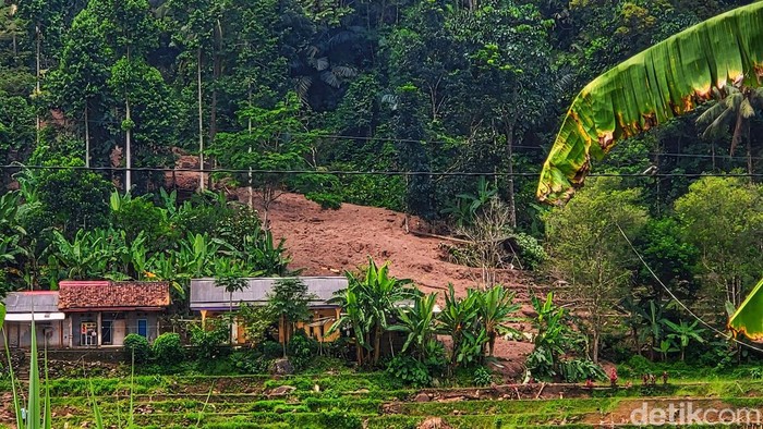 Longsor di  di Kawasan TNG Halimun Salak.