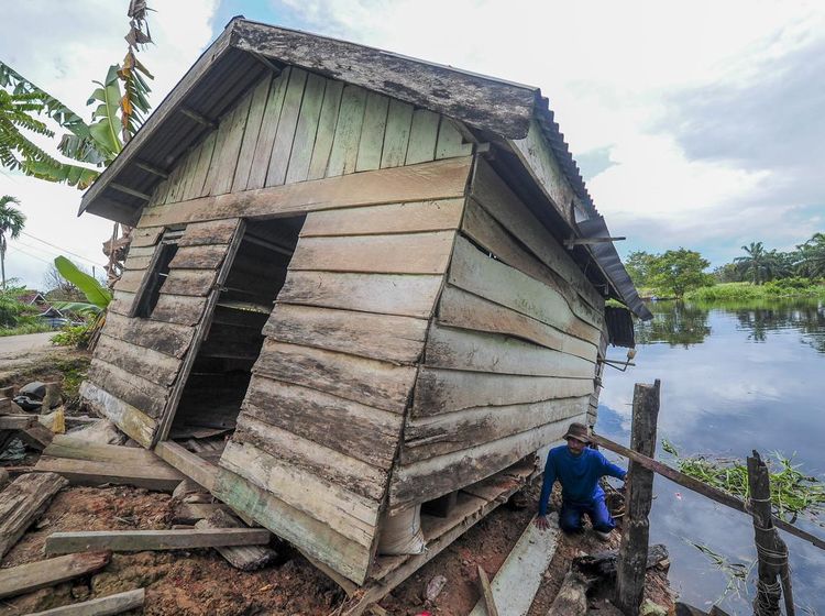 Penampakan Rumah Roboh Terseret Gulma di Muaro Jambi