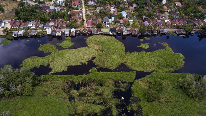 Foto udara sebuah kapal terseret tumpukan gulma atau rumput kumpeh yang hanyut terbawa arus Sungai Kumpeh di Suak Kandis, Kumpeh, Muaro Jambi, Jambi, Senin (25/3/2024). Belasan rumah di bantaran Sungai Kumpeh tersebut roboh akibat terseret tumpukan gulma yang hanyut terbawa arus sungai itu. ANTARA FOTO/Wahdi Septiawan/YU