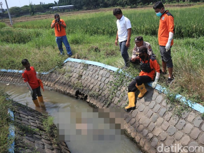 penemuan bayi jombang
