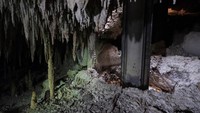 Tren Maya adalah salah satu proyek infrastruktur andalan Presiden Meksiko Andres Manuel Lopez Obrador, yang menurutnya akan memberikan manfaat ekonomi yang signifikan bagi masyarakat pedesaan yang telah lama miskin di tenggara Meksiko.  
