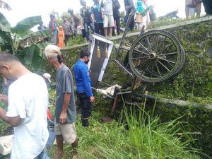 Apes Andong Nyemplung Parit di Banguntapan, Ternyata Kuda Baru Latihan