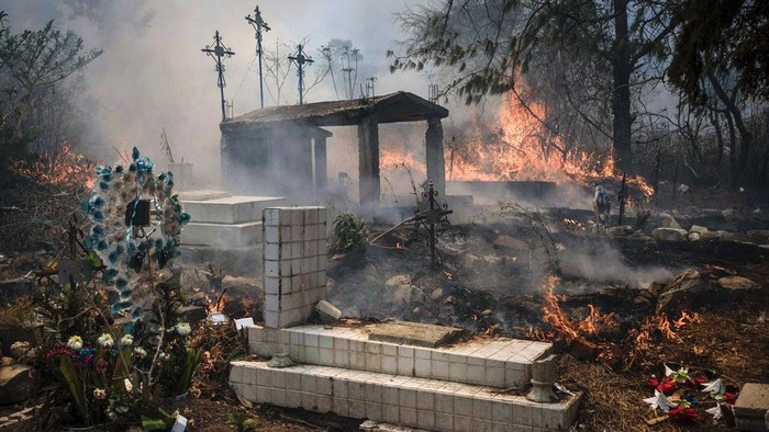 Si Jago Merah Lalap Hutan di Meksiko Kebakaran hutan melanda Meksiko, Senin (25/3/2024) waktu setempat. Bahkan kebakaran merembet ke permukiman dan menghanguskan sejumlah rumah.