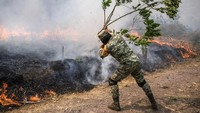 Tentara Meksiko dikerahkan untuk membantu menangani kebakaran hutan di Veracruz.