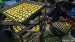 Wow! Jelang Lebaran Industri Rumahan Ini Produksi Kue Kering 144 Kg/Hari