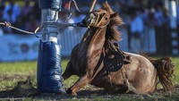Sepekan ini, umat kristiani di seluruh dunia merayakan Holly Week (Pekan Suci) yang diakhiri dengan perayaan Paskah di hari Minggu. Sebagai bagian dari Pekan Suci, kota Montevideo, Uruguay merayakan Festival Creole setiap tahunnya.     
