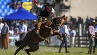 Kuda yang ditunggangi para gaucho, sebutan para penunggang kuda ini, bukan sembarang kuda, melainkan kuda-kuda liar. Kemampuan para gaucho yang diuji adalah kemampuan mereka menguasai keliaran kuda selama mungkin tanpa terjatuh dari tunggangannya.    