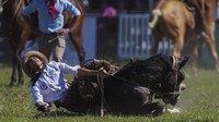 Kepopuleran acara yang diselenggarakan rutin setiap tahun ini juga menarik perhatian para gaucho dari luar Uruguay. Peserta rodeo ini banyak yang berasal dari negara tetangga seperti Argentina dan Brazil.    