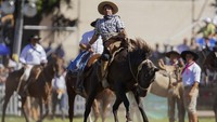Selama berlangsungnya Criolla del Prado, warga Montevideo sibuk membuat makanan tradisional sebagai santapan para gauchos dan pengunjung. Santapan favorit yang dibuat selama berlangsungnya rodeo ini adalah makanan bakar tradisional Uruguay yang disebut Asado.    