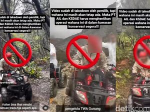 Wisata ATV di Papandayan Tuai Kecaman Aktivis dan Peneliti Elang Jawa