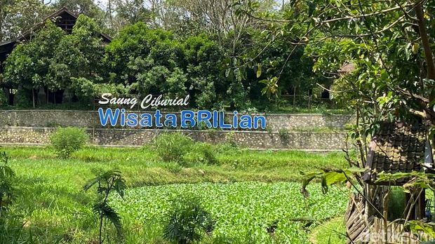 Desa Sukalaksana, Kecamatan Samarang, Kabupaten Garut menjadi juara 1 Program Desa BRILian Tahun 2021