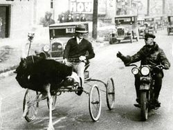 Deretan Foto Jadul Menyimpan Cerita Mencengangkan