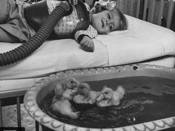 Deretan Foto Jadul Menyimpan Cerita Mencengangkan