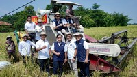 Direktur Utama PT Food Station Tjipinang Jaya Pamrihadi Wiraryo dalam sambutannya menyampaikan bahwa kerja sama ini telah berlangsung sejak tahun 2022 dan pada tahun ini total luasan lahan yang dibudidayakan seluas 606 hektar, dengan varietas DNA/ Bawor  yang memiliki karaktertistik biji panjang aromatik mirip dengan varietas jasmine dari Thailand. 