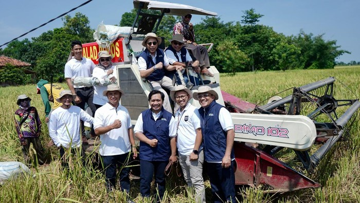 Jaga Pasokan, Begini Potret Panen Padi Bersama di Indramayu BUMD Pangan DKI Jakarta PT Food Station Tjipinang Jaya (Perseroda) melakukan panen bersama hasil Budidaya Padi di Desa Mekarjaya Kecamatan Gantar, Kabupaten Indramayu, Selasa, 26 Maret 2024.