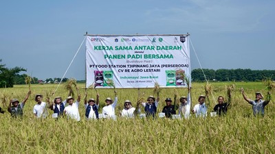 Jaga Pasokan, Begini Potret Panen Padi Bersama di Indramayu