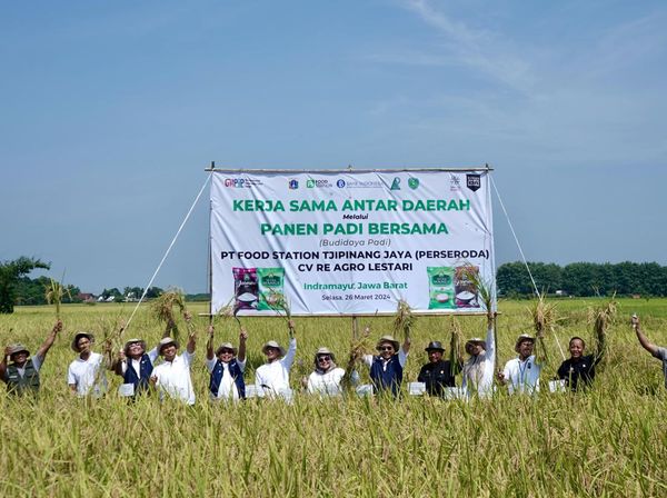 Jaga Pasokan, Begini Potret Panen Padi Bersama di Indramayu
