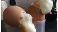 Kate melihat tips di internet bahwa telur yang kurang matang cukup dimasukkan microwave. Sayangnya tips ini justru tidak bekerja dengan baik bagi telur rebus miliknya. Foto: Daily Mail