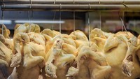 Jual Nasi Ayam Rp 13 Ribu, Pedagang Ini Mengaku Tak Cari Untung