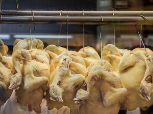 Jual Nasi Ayam Rp 13 Ribu, Pedagang Ini Mengaku Tak Cari Untung