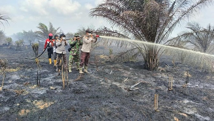 Petugas memadamkan api di lahan yang terbakar. (Dok Pores Bengkalis)
