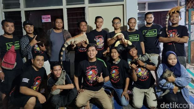 Reo Reptile Independent