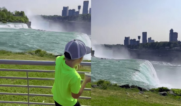 Rusa terseret arus Air terjun Niagara