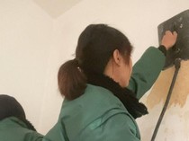Ditawari Rp 30 Juta, Korban Ferienjob Jerman Akui Terima Bersih Rp 1 Juta