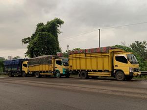 47 Ton Batu Bara Ilegal Gagal Diselundupkan ke Lampung, 4 Sopir Tersangka