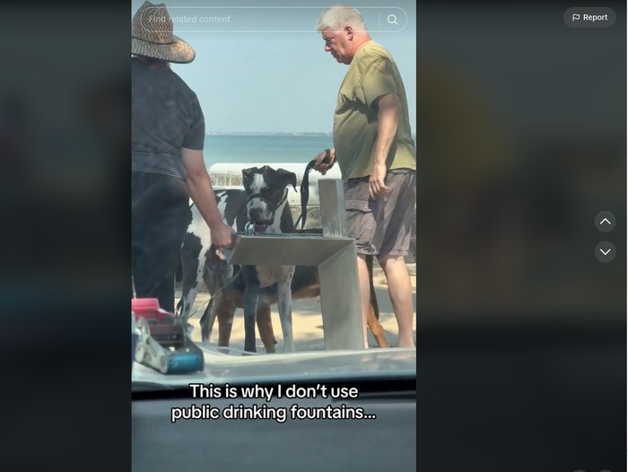 Anjing menjliati kran air minum