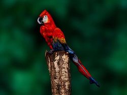 Wow! Karya Masterpiece Body Painting yang Bikin Mata Melongo