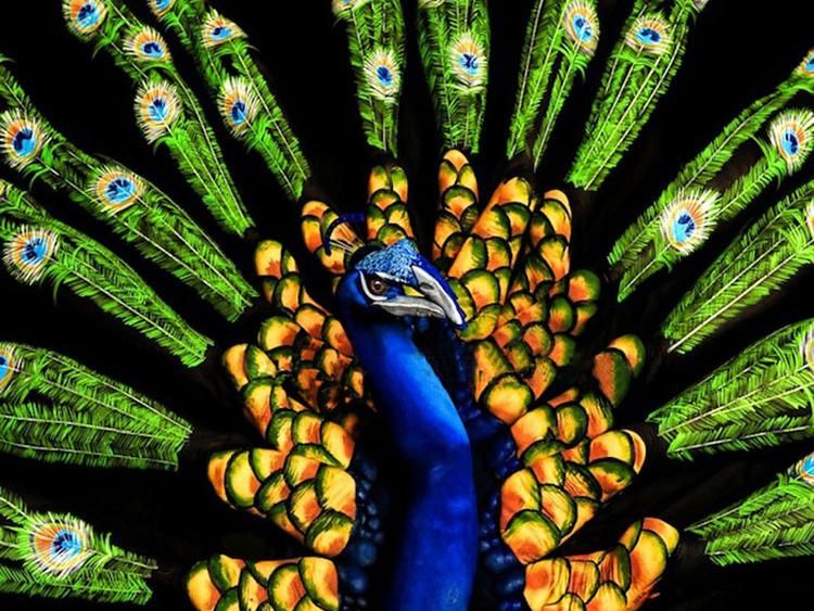 Wow! Karya Masterpiece Body Painting yang Bikin Mata Melongo
