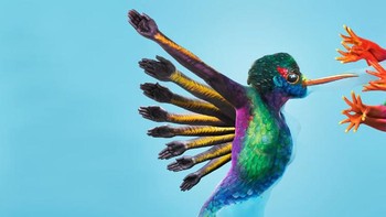 Burung terbang dengan beberapa tangan manusia sebagai sayapnya. (Foto: Boredpanda)