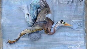 Tubuh manusia dilukis burung. (Foto: Boredpanda)