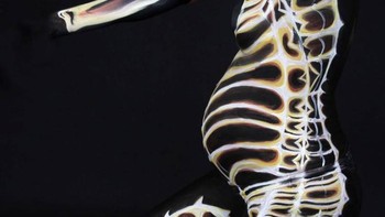 Kuda laut, mirip ya!. (Foto: Boredpanda)