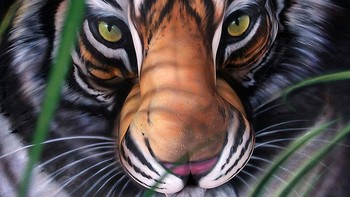 Lukisan wajah harimau dengan wajah manusia sebagai kanvasnya. (Foto: Boredpanda)