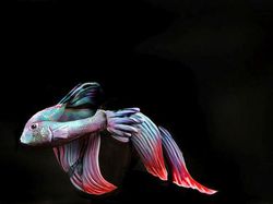 Wow! Karya Masterpiece Body Painting yang Bikin Mata Melongo