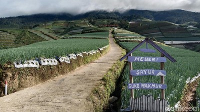 Terbius Indahnya Negeri Sayur Sukomakmur di Magelang